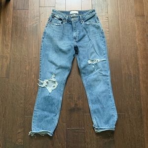 Abercrombie & Fitch High Rise Mom Jeans (Curve Love)